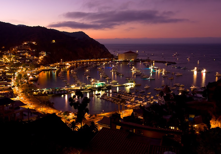 "Avalon Harbor" - Stuart Wilson